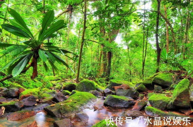 生肖猴|7月中旬家中有喜，锦鲤附体，熬过苦日子，大小之财进腰包的生肖