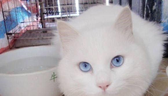 韩信$6副对联大名鼎鼎,流传千百年,并非泛泛之作