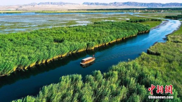 芙蓉出水引客|芙蓉出水引客来 中国最大野生睡莲群迎最佳观赏季