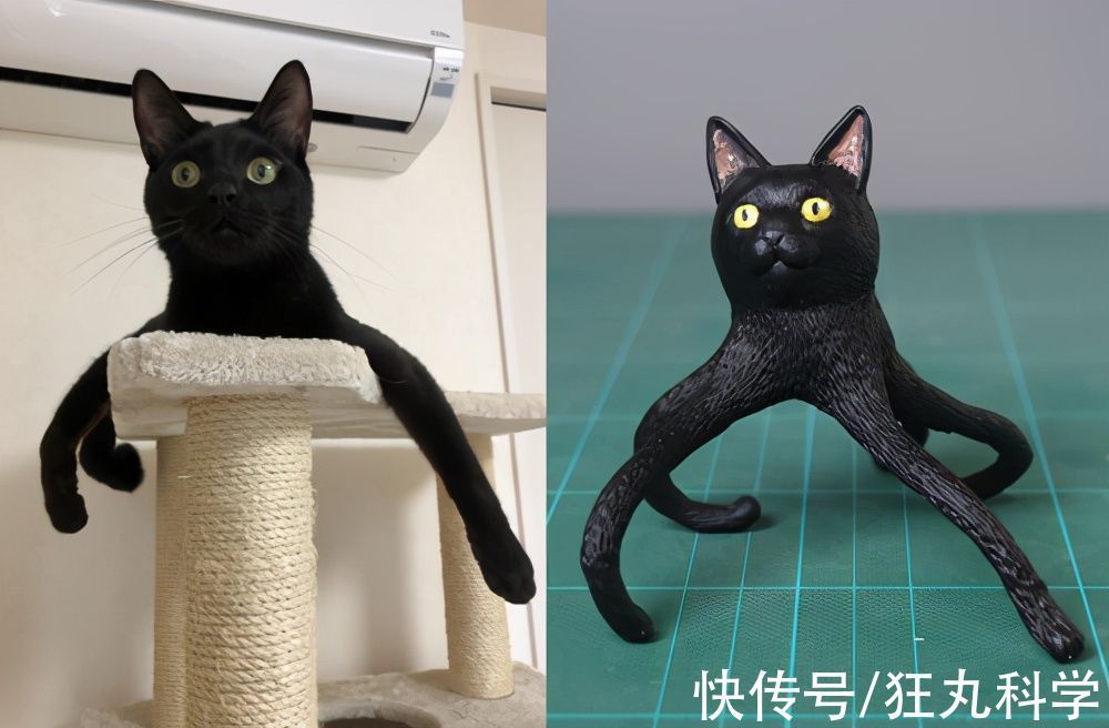 长颈狗|全球的猫都想屏蔽这个日本人,他到底做了多少沙雕手办?