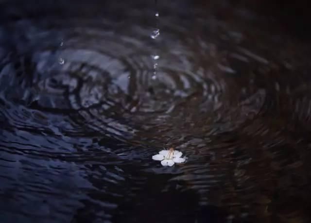 雷雨季，拍出雨的静美和诗意，这些方法要记好！