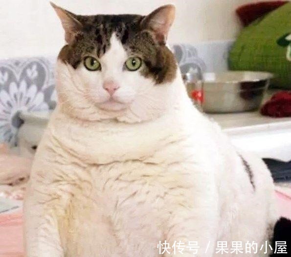 |搞笑图片幽默段子笑话:减肥中心的教练,自己编了一套减肥的动作!