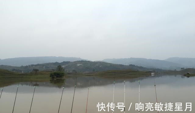 捕食|钓鲫鱼用什么饵料好分清这几点不空军!