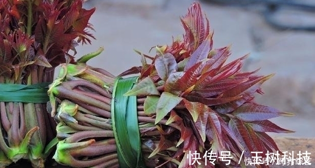 蔬菜|得了糖尿病,最好不要碰三种蔬菜,吃了血糖肯定高