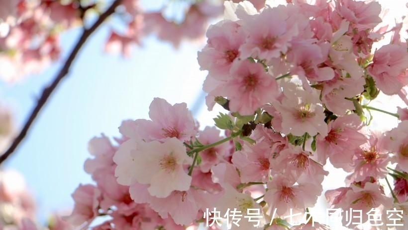论互联网销售彩票大发彩票 - 官方购彩平台注册即送88元安全可靠的彩票娱乐平台定罪问题