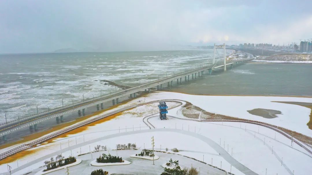 辛晓磊|雪落下的业达——满目处处皆风景，一举一动俱温情