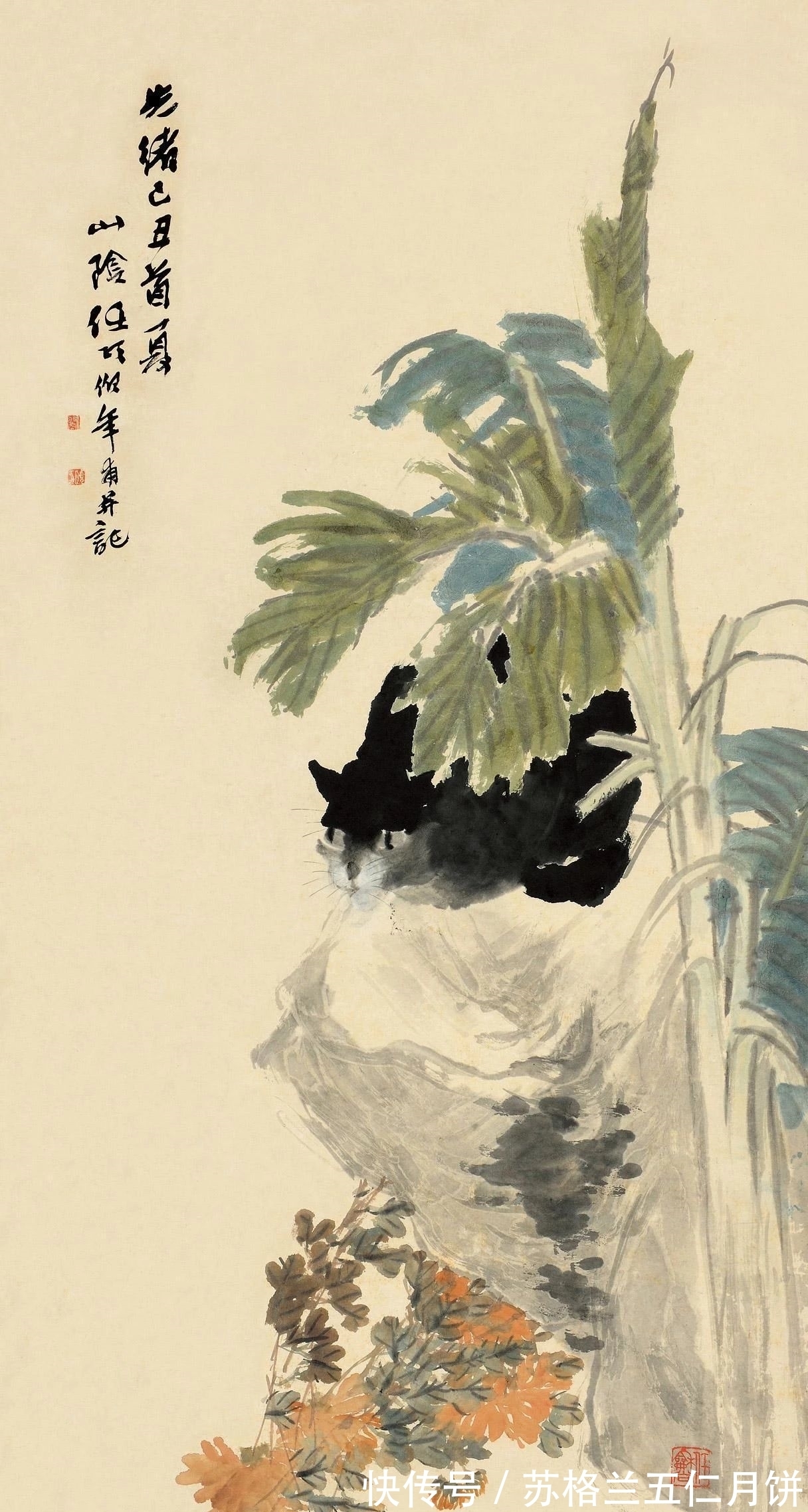 任伯年|「津门网」任伯年家的猫不一般,各个肥得流油估计伙食不错萌萌的