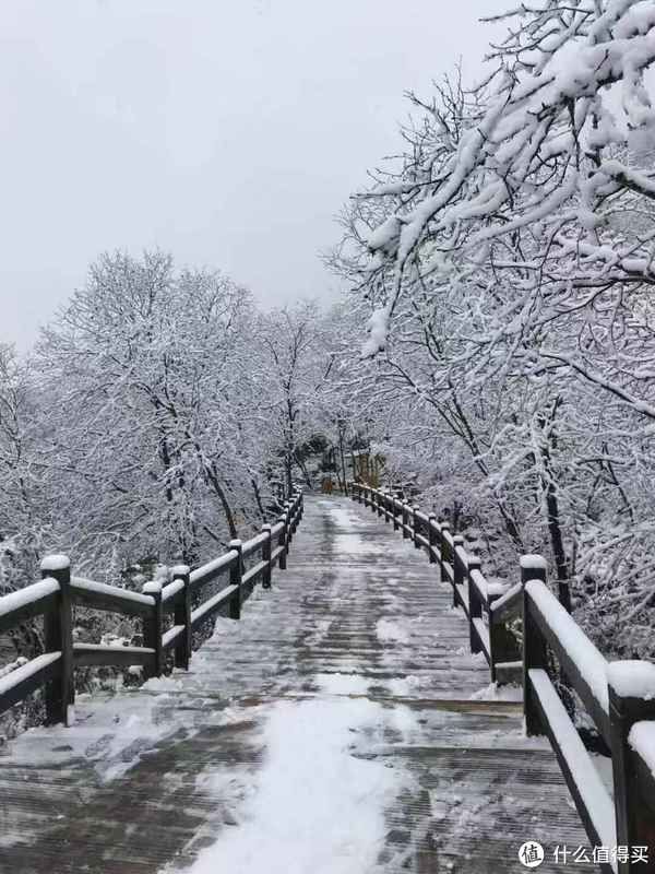 索道|旅记回顾｜被遗忘的人间仙境，2018年我去了“小九寨”牟泥沟