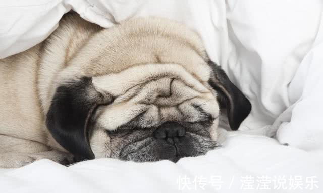 医生|男子突发脑梗,入院就下了病危,医生直言这''习惯''害了不少人