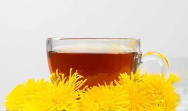 蒲公英泡水好處多，喝的時候需要注意什么？