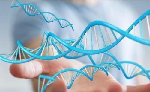 乳腺癌|父母有以下3类癌症,子女就要警惕起来了!最好定期检查