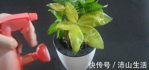 花生壳和橘子皮放在一起,这个用途太实用了,看完尽快提醒家里人