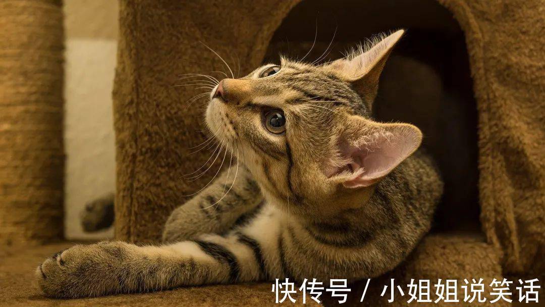 |2022最新幽默段子,够你乐到过年