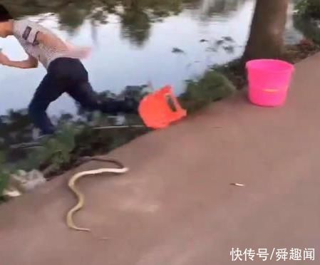 小伙河边钓鱼!突然上面掉下个东西，扭头一看，险些丧命