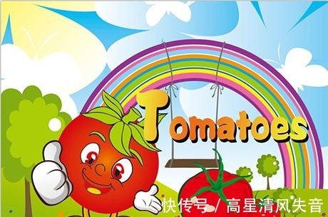 持续高温|西红柿是水果还是蔬菜！