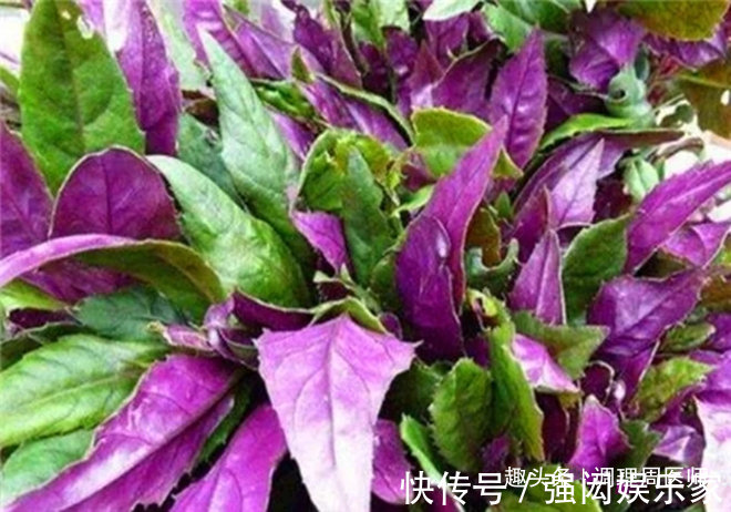 田七花田七花|女人不想被叫“黄脸婆”,常吃这4物,美容养颜,60还是少女肌