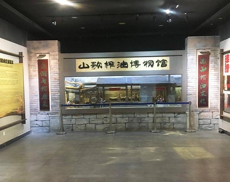 粮食#看“一滴油的奇妙旅程”齐鲁晚报小记者粮企采访活动招募啦