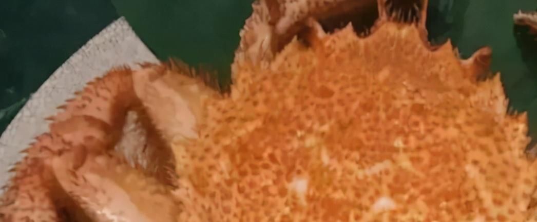 賈乃亮雷佳音合開餐廳,牛肉按克賣鮑魚一只1288元,網(wǎng)友:一口都吃不起