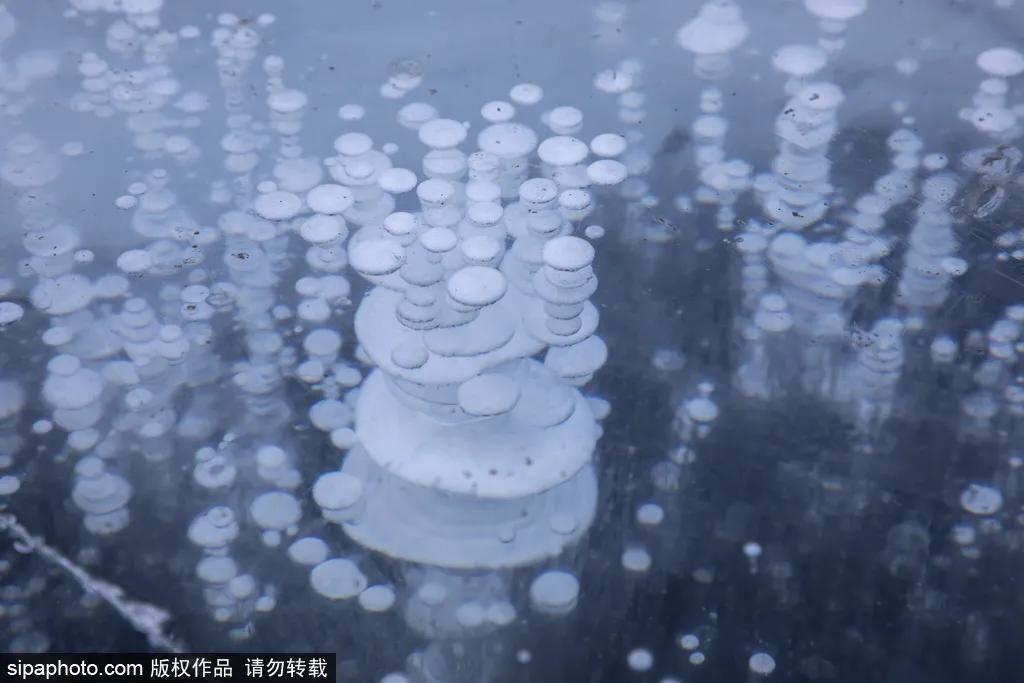 细“鼠”点滴:极不平凡的2020年,看完竟然默默流泪了!