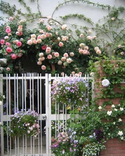 聚会|好看这样布置一个家庭小院,聚会玩乐都能行,看完就想建一个