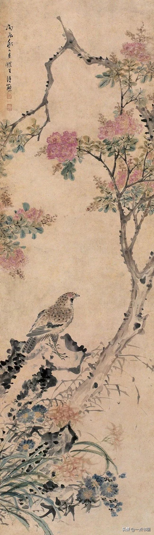 嘉树堂！清代海派 朱熊 花鸟作品欣赏