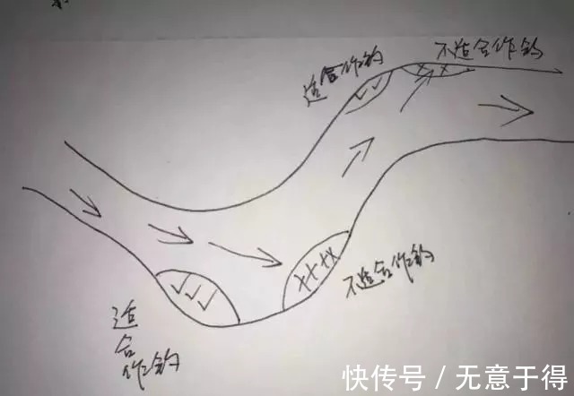 支流|不知道鱼儿藏在哪儿?我帮你画了5张图,随便挑一个就能爆护