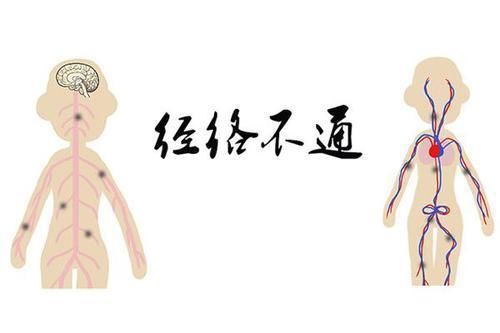 中医|为什么“通则不痛，痛则不通”？气血调和对于人体健康有多重要？