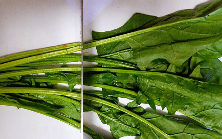 搭配|菠菜最佳搭配是什么?菠菜不可以和什么食物搭配