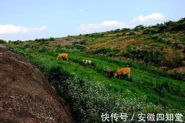 朱顶镇|五河县朱顶镇黄庄“石莲山”探幽