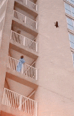 |搞笑GIF趣图:姑娘,你的数学一定是你体育老师教你的吧