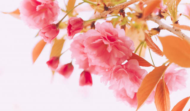 这五种|老祖宗的忠告做人要懂得,祸从口出,这五种话尽量不要说