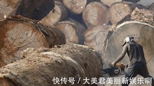 非洲|带大家认识“灌了钢筋和水泥”的千斤实木大板,你还会上当吗?