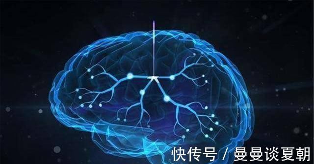 补脑|进入孕晚期，胎儿的大脑发育也到高峰，孕妈做到四点，补脑更有效