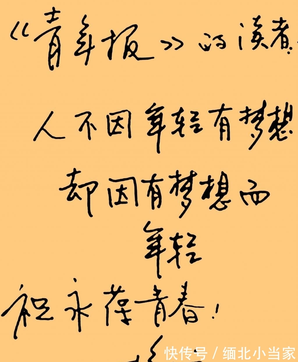 硬笔书法&杨澜有多美,她的书法也有多美,书协大佬也羡慕:希望多交流