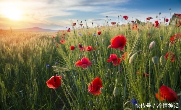 农历|生日是几月份的人，巧舌如簧会说话，嘴甜心善会做人，财运自然好