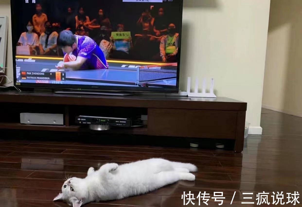 教练|樊振东恩师退休后生活惬意：海南种地当农民，携宠物开房车自驾游