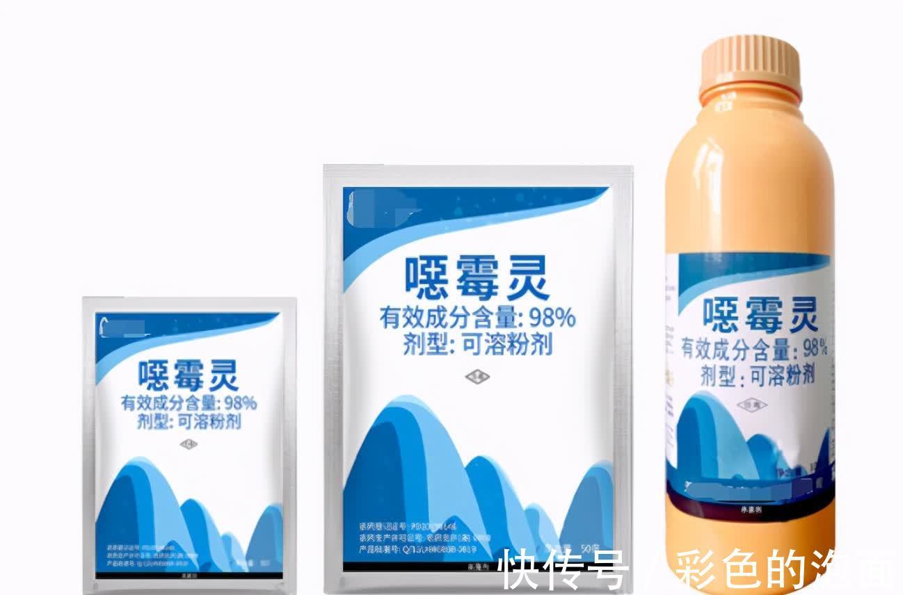 夏季|夏季经常给蟹爪兰浇这种水，防黑腐壮根系