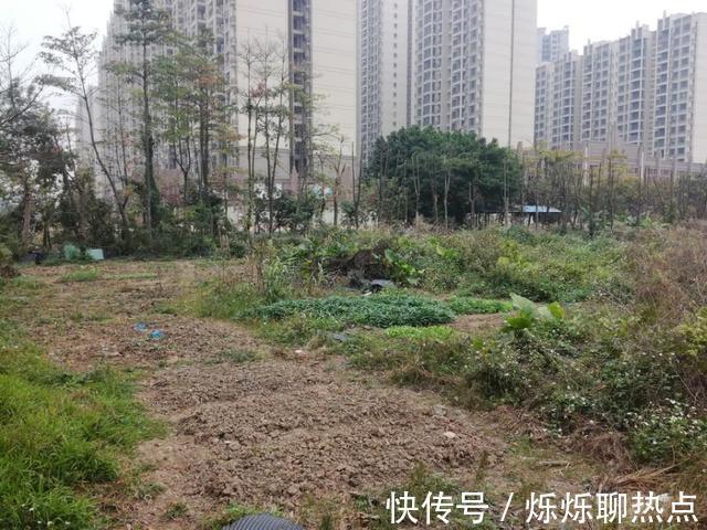 土地使用权|中山市一家软件开发企业被吊销 已查封的住宅用地对外拍卖