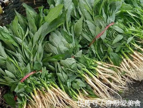 苋菜|农村里的“长寿菜”,含钙量比普通蔬菜更高,以后遇到不要错过