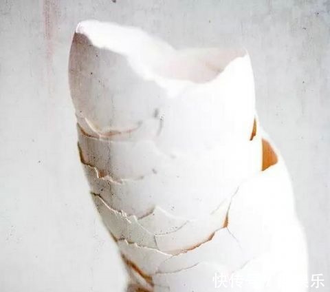 用完的鸡蛋壳千万别扔,不然让你超后悔