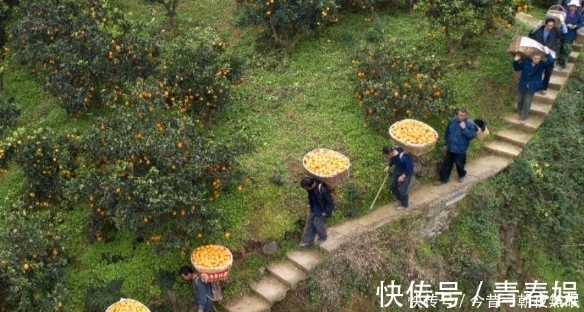 商家|果然,东西不贵都是有原因的,刚刚一位拼多多商家说了大实话