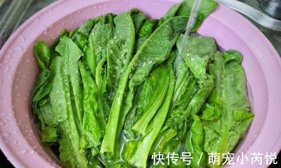 80岁的外婆几乎天天吃这菜,脸色红润气色足,春天最鲜嫩,别错过