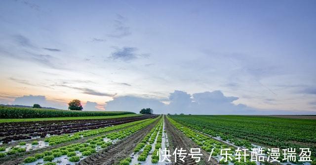 谈吐|形象好、气质佳的三个星座，举止优雅，谈吐得体，让人念念不忘