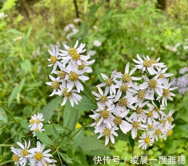 宝山寺|走遍中国寺院之第1436家，承德宝山寺