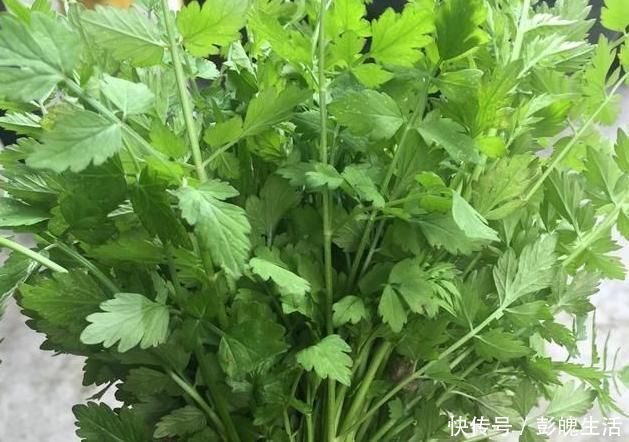 野菜|被打绝迹的野菜,在农村老家剩下的一点,看看你还认识吗?