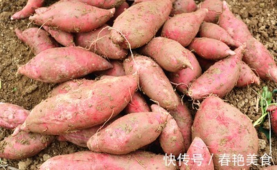 清甜|买红薯，别只看粗细！老农教你4招，红薯清甜可口，好吃不噎人！