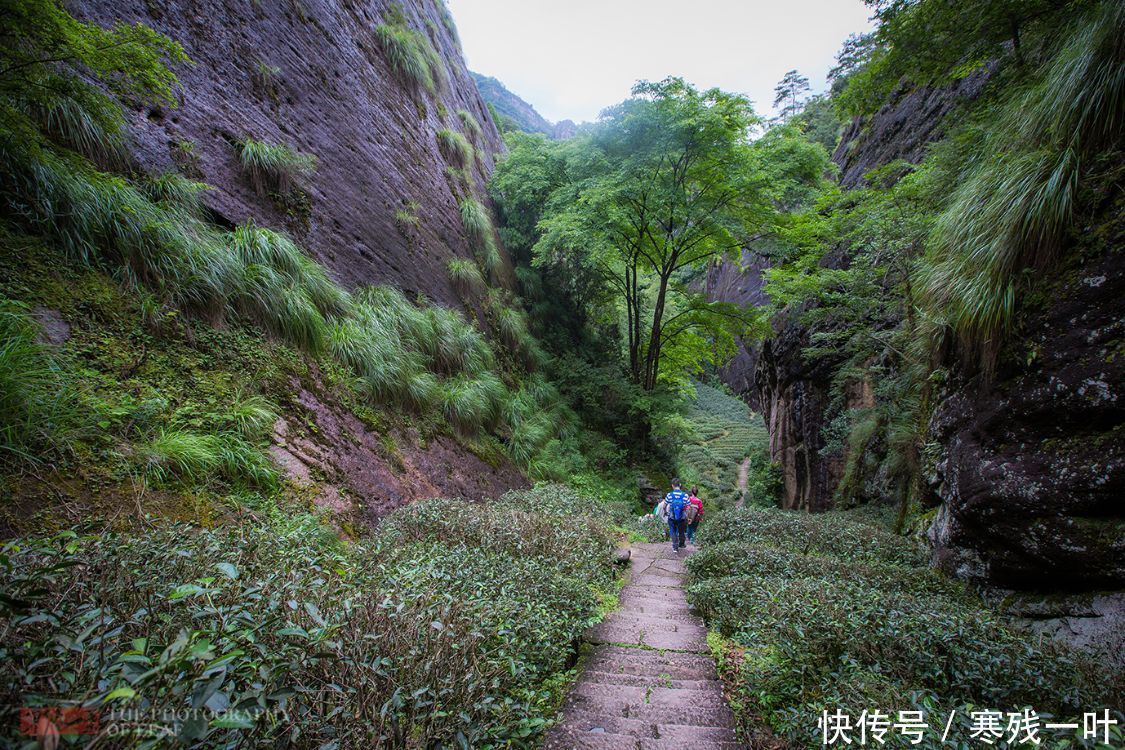 崖洞|武夷山神奇天车架，为躲避战乱，古人在绝壁石洞建起300人的村子