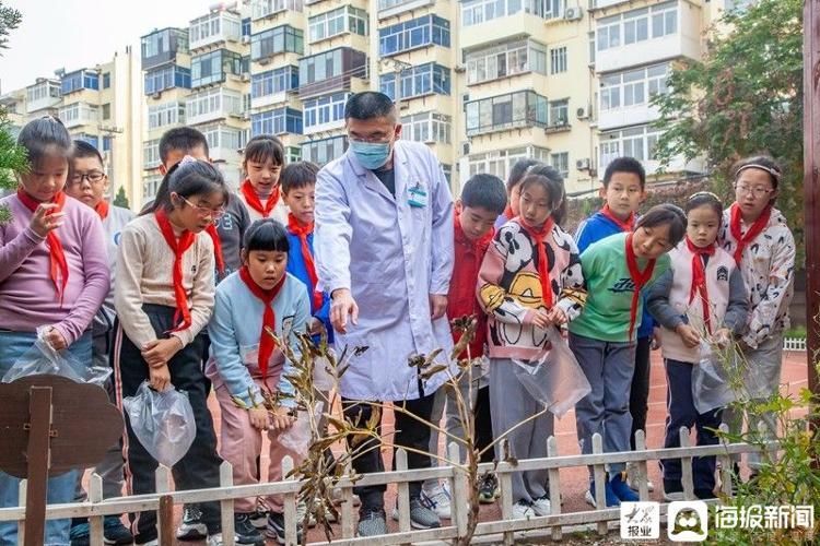 潇翔小学|中草药标本制作之旅：传承中医药文化潇翔小学在行动