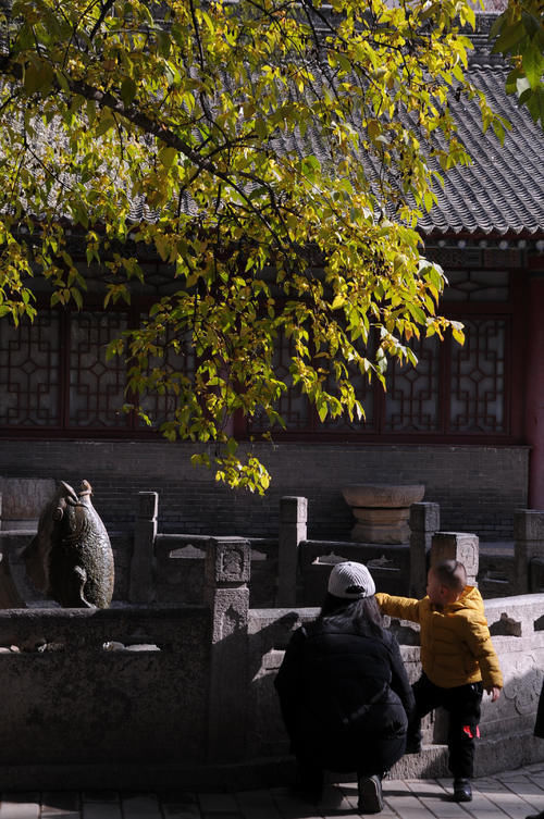 法堂|西安繁华街头的隐秘小院，一块斑驳的匾是皇帝所书，满院飘着梅香