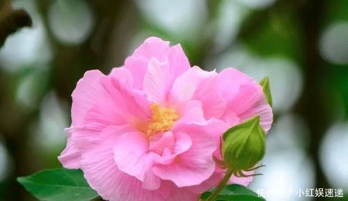 智商|出生在几点钟的孩子,智商最高,将来一定大有出息,前途光明